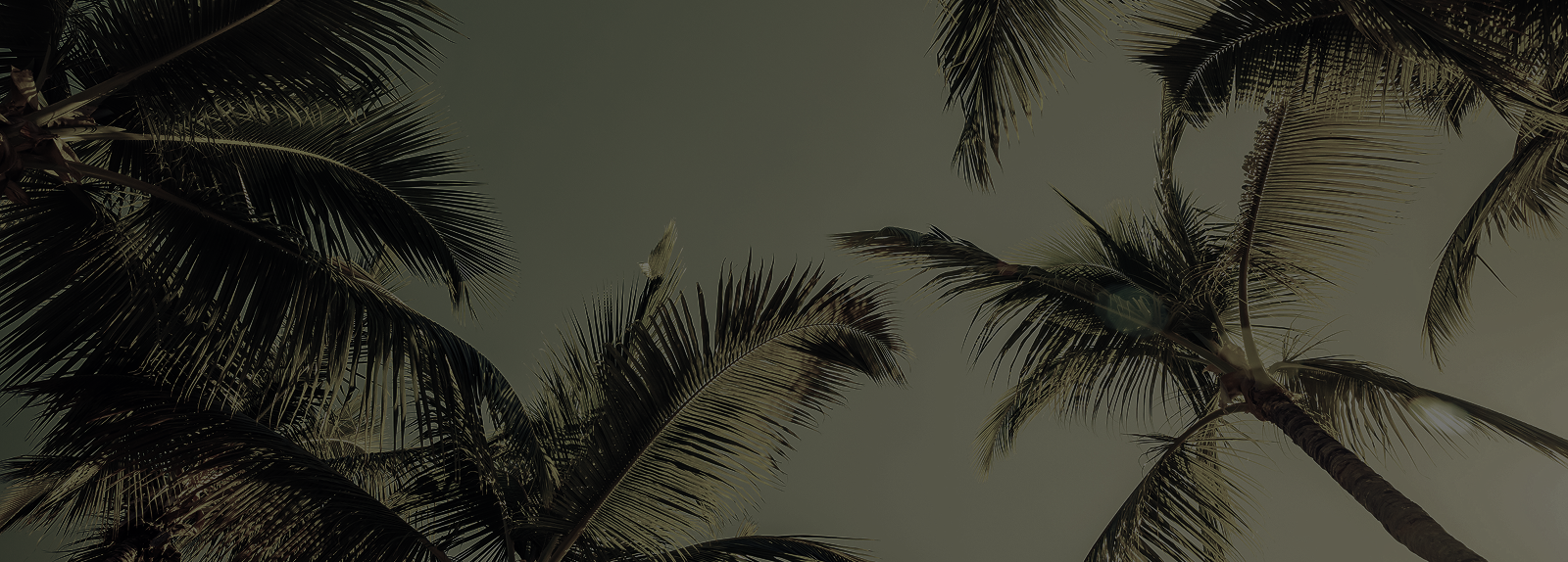 Footer Background Image